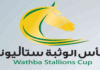 Dubaï World Cup (كأس دبي العالمي) : «السكب» بطل كأس الوثبة في تولوز