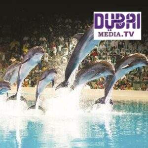 Lire la suite à propos de l’article Dubaï Media TV : تقدم دبي صفقات وعروض ترويجية مثيرة احتفالاً باليوم الوطني الـ 48 لدولة الإمارات العربية المتحدة