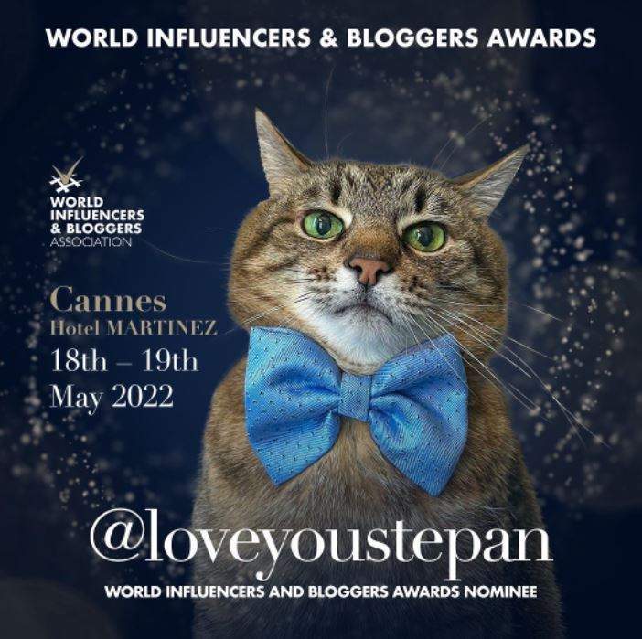 Lire la suite à propos de l’article 290.000 أثيرت في 3 أيام! تم ترشيح قطة أوكرانية مشهورة على الإنترنت لجائزة World Influencer and Blogger Award