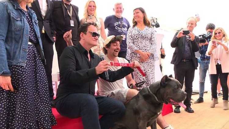 Cannes Film Festival Since When Does the Palme Dog Award Recognize Canine Actors
